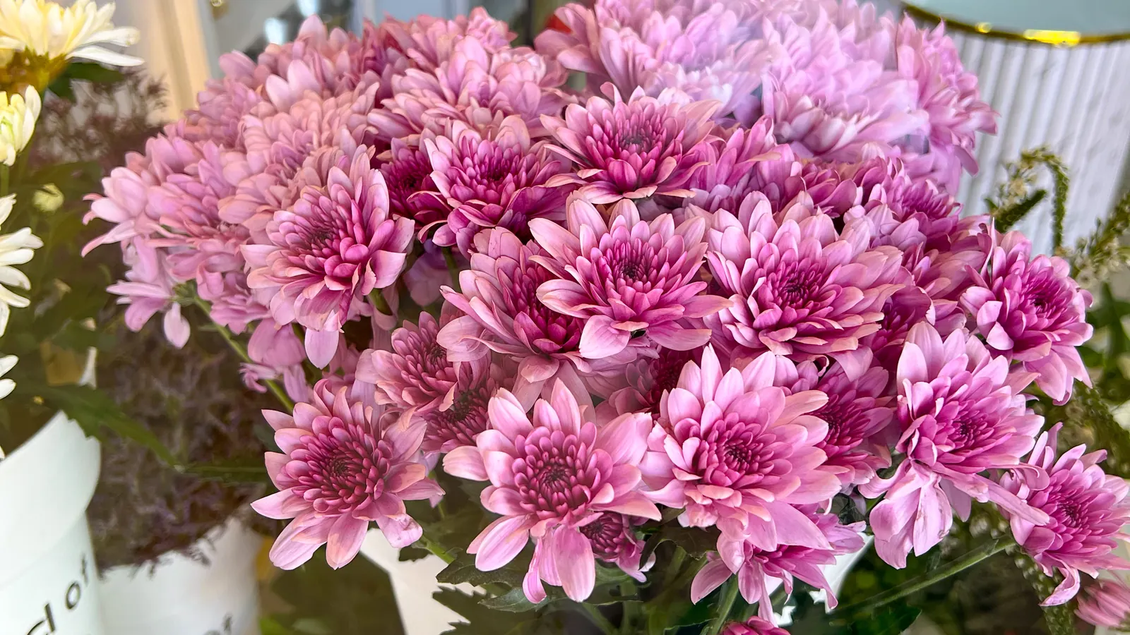 Pink chrysanthemums on display in the Purple Heart shop