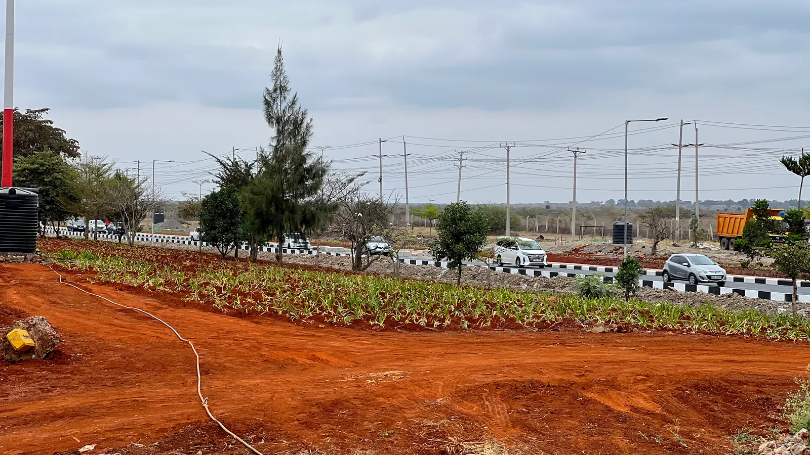 Finished planting rows along the kerb of the JKIA approach road