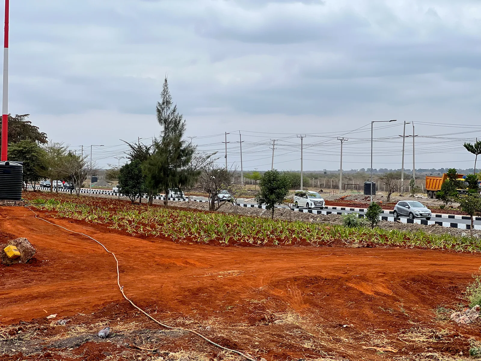 Finished planting rows along the JKIA approach road