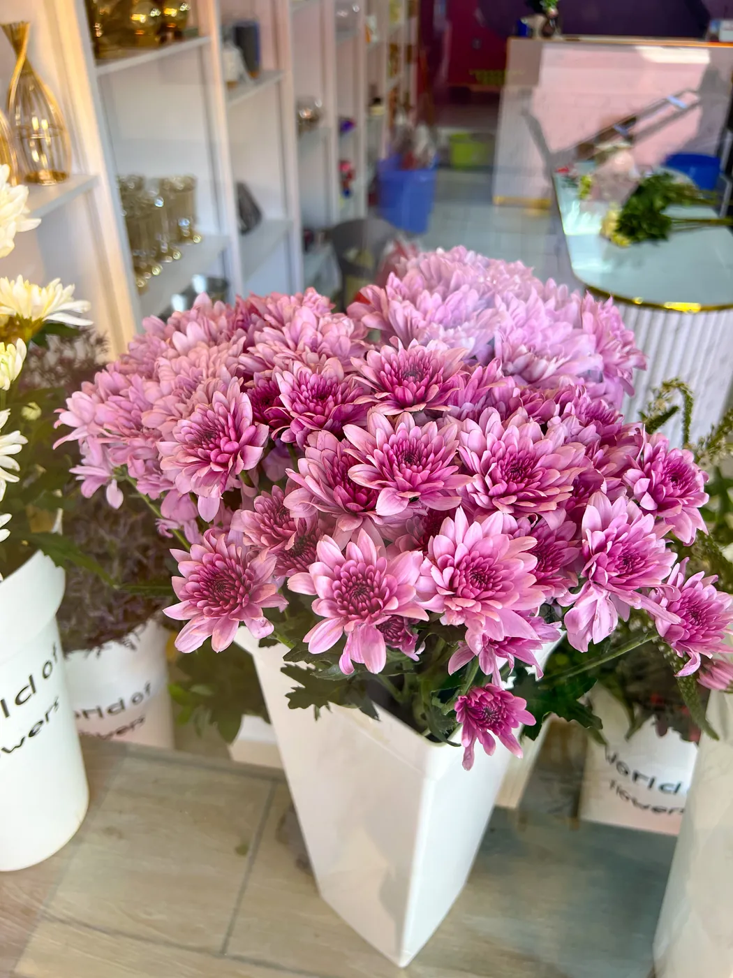 Pink chrysanthemums on display in the shop